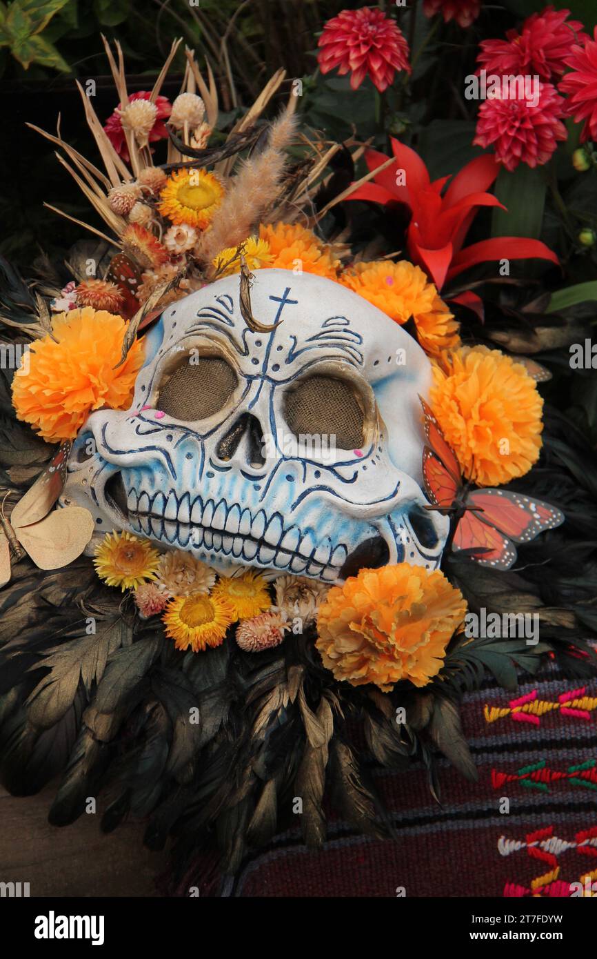 Una maschera teschio molto luminosa con motivo floreale e piuma. Foto Stock