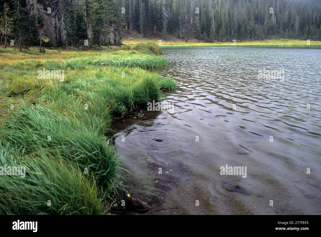 Bonny Lake, Eagle Cap Wilderness, Wallowa-Whitman National Forest, Oregon Foto Stock