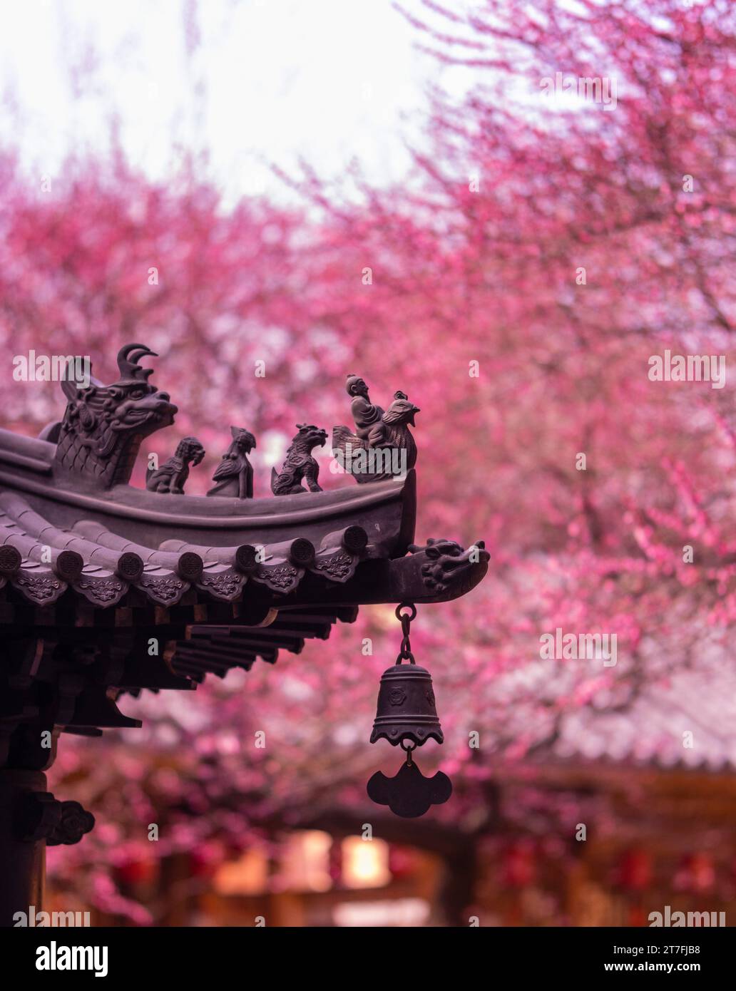 Questa immagine presenta una selezione di decorazioni ornamentali nere sullo sfondo di un albero in fiore rosa e di una casa Foto Stock