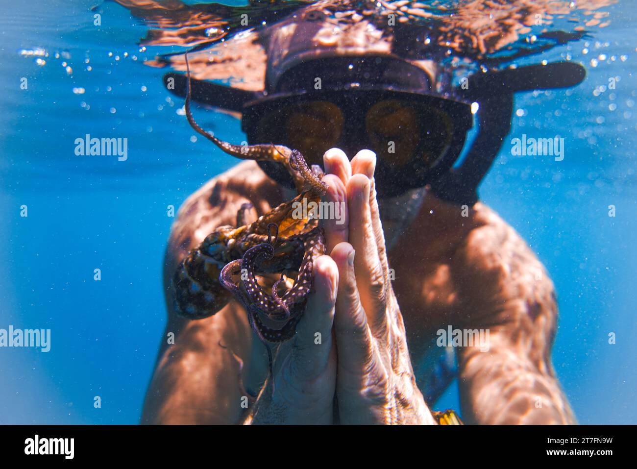 Pregate le mani con un polpo nell'oceano Foto Stock