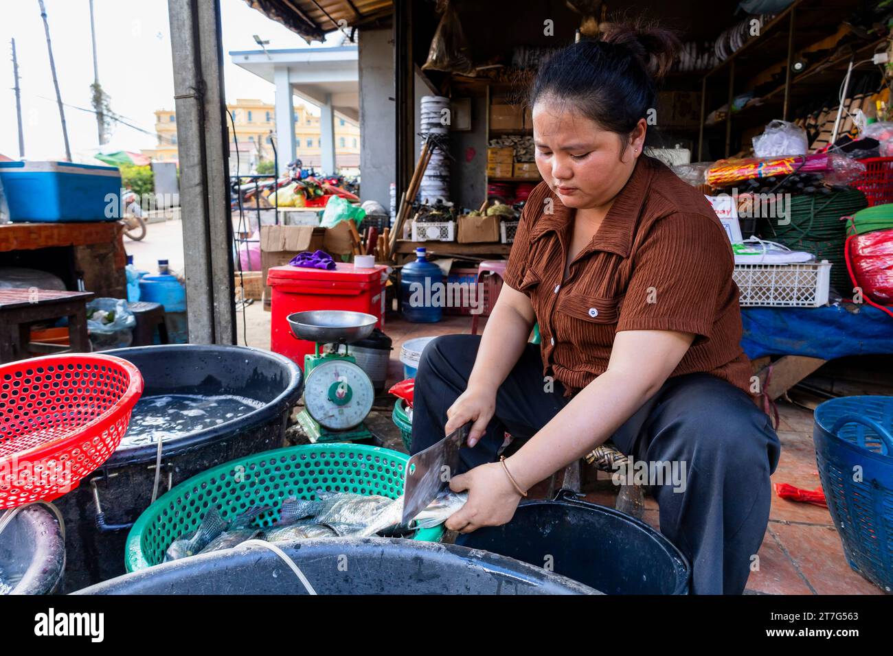 Via del mercato centrale, donna che vende pesci, Phonsavan, provincia di Xiangkhouang, Laos, sud-est asiatico, Asia Foto Stock