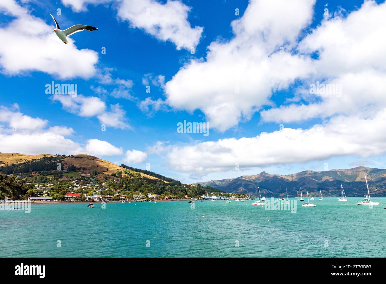 Akaroa è una piccola città della penisola di Banks, nella regione di Canterbury, nell'Isola del Sud della nuova Zelanda, situata all'interno di un porto con lo stesso nome. La Foto Stock