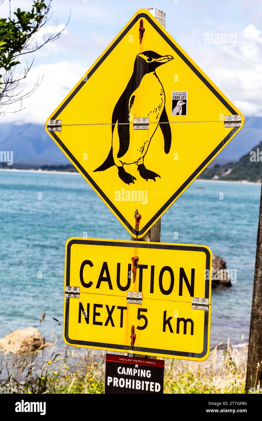 Il villaggio di pescatori di Jackson Bay offre viste spettacolari dell'oceano e delle Alpi meridionali, importante area ornitologica per i pinguini di Fiordland Foto Stock