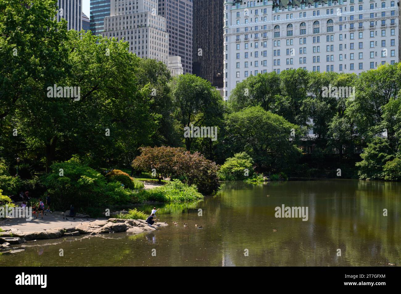 Il Central Park di New York City Foto Stock