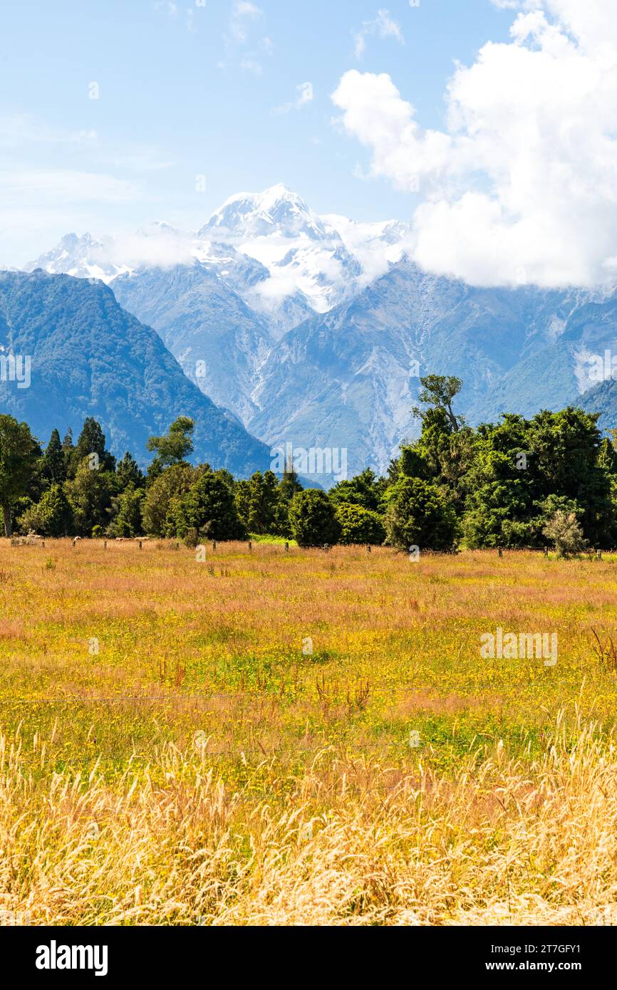 Il lago Matheson è un piccolo lago glaciale nel South Westland, nuova Zelanda, vicino alla cittadina di Fox Glacier. Era un tradizionale luogo di raccolta del cibo Foto Stock