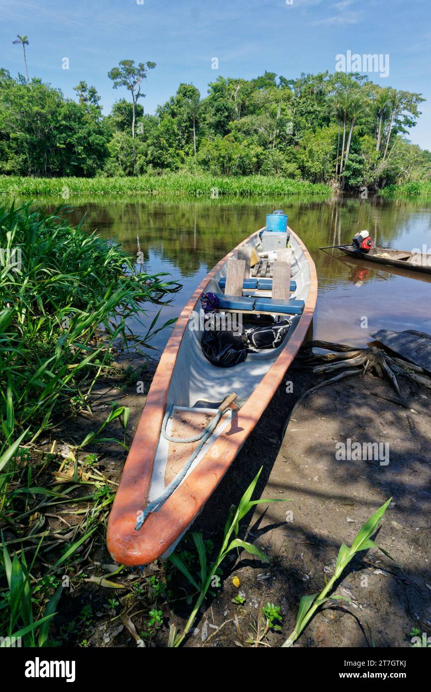 Trasporto in canoa fluviale nella foresta pluviale amazzonica, nella riserva di Cuyabeno nella regione amazzonica tra Ecuador e Perù Foto Stock