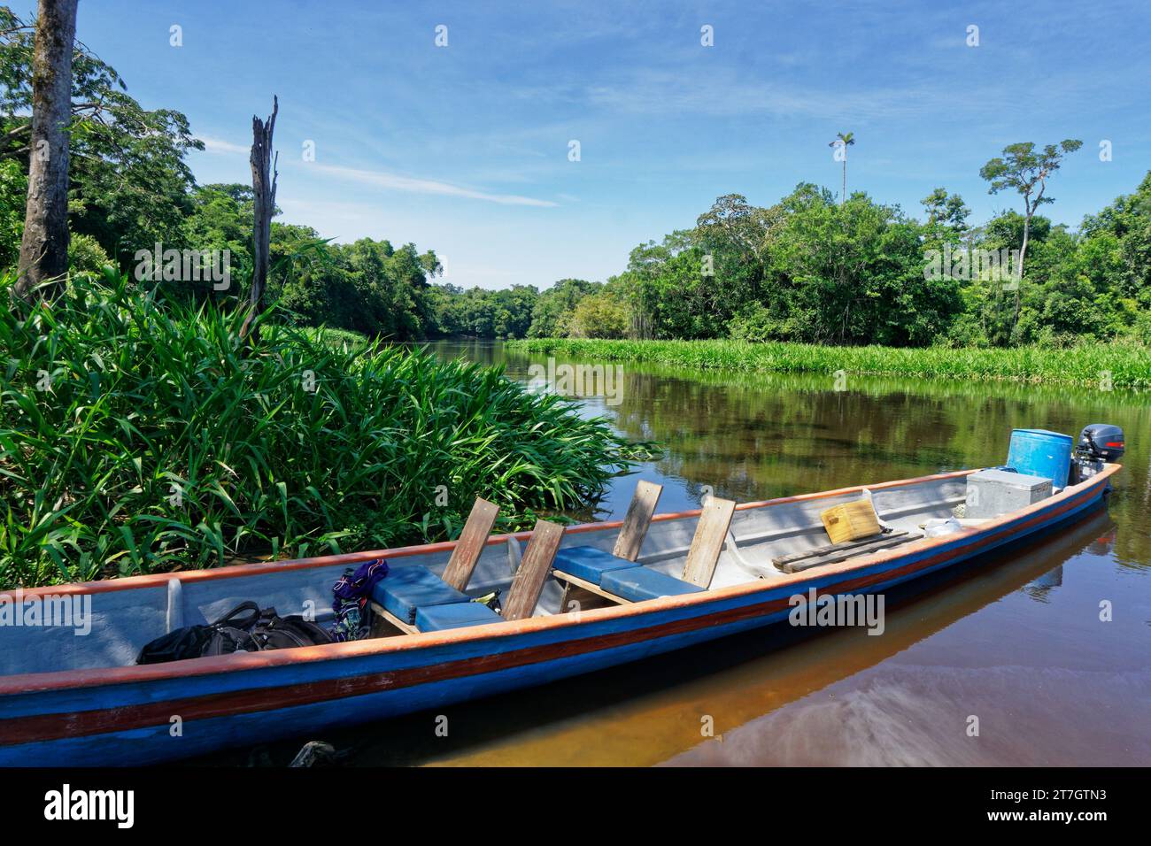 Trasporto in canoa fluviale nella foresta pluviale amazzonica, nella riserva di Cuyabeno nella regione amazzonica tra Ecuador e Perù Foto Stock