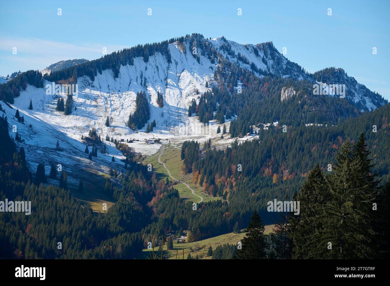 Bodenschneid, Spitzingsee, Mangfallgebirge, Prealpi bavaresi, alta Baviera, Baviera, Germania Foto Stock