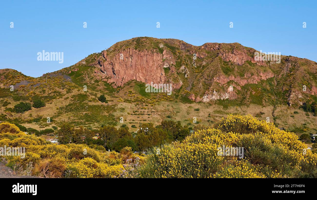 Verde paesaggio collinare, scopa gialla, Vulcano, Isole Eolie, Sicilia, Italia Foto Stock