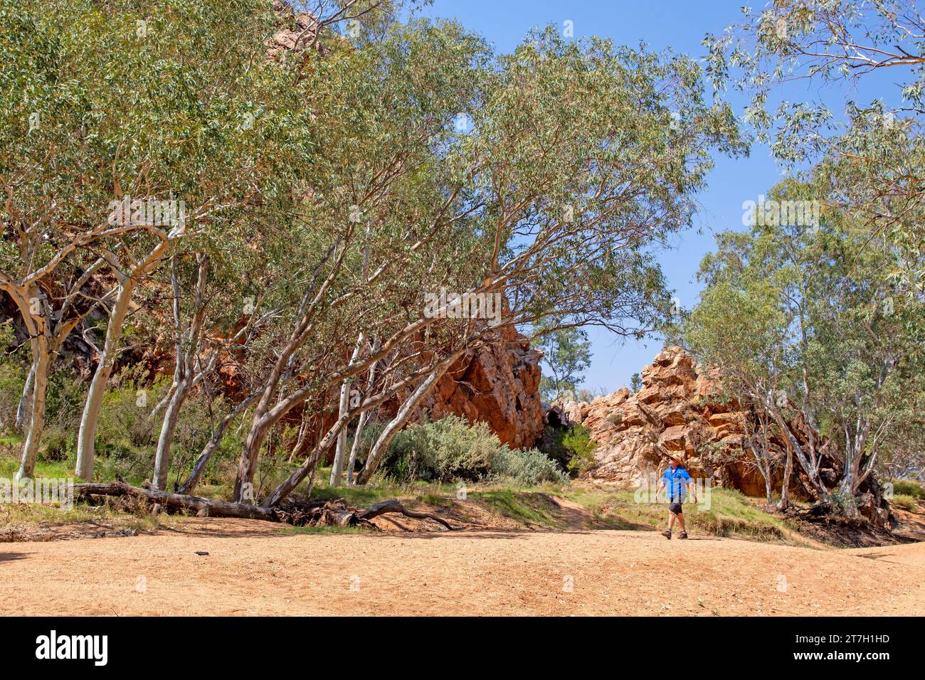 Jessie Gap, East MacDonnell Ranges Foto Stock