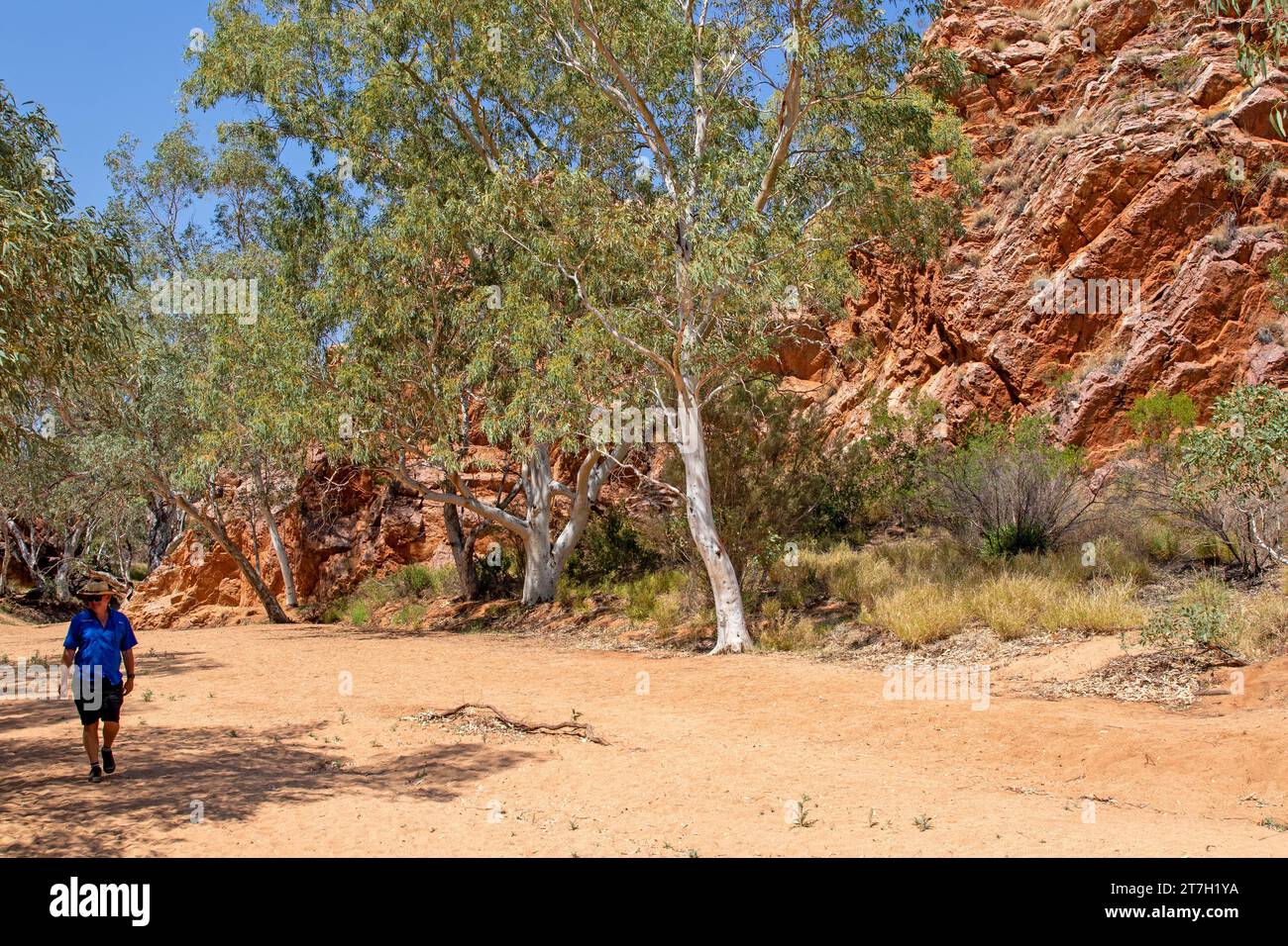 Jessie Gap, East MacDonnell Ranges Foto Stock