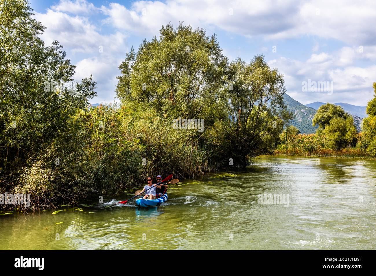 Paradiso naturale e parco nazionale il lago Scutari, il lago più grande della penisola balcanica tra Montenegro e Albania, il lago Scutari, Montenegro Foto Stock