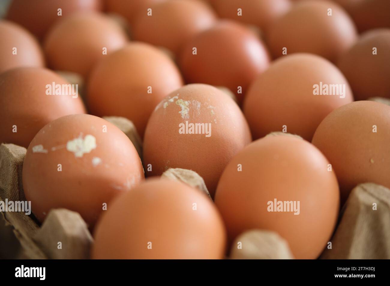 una pila di uova su un vassoio di cartone o carta Foto Stock