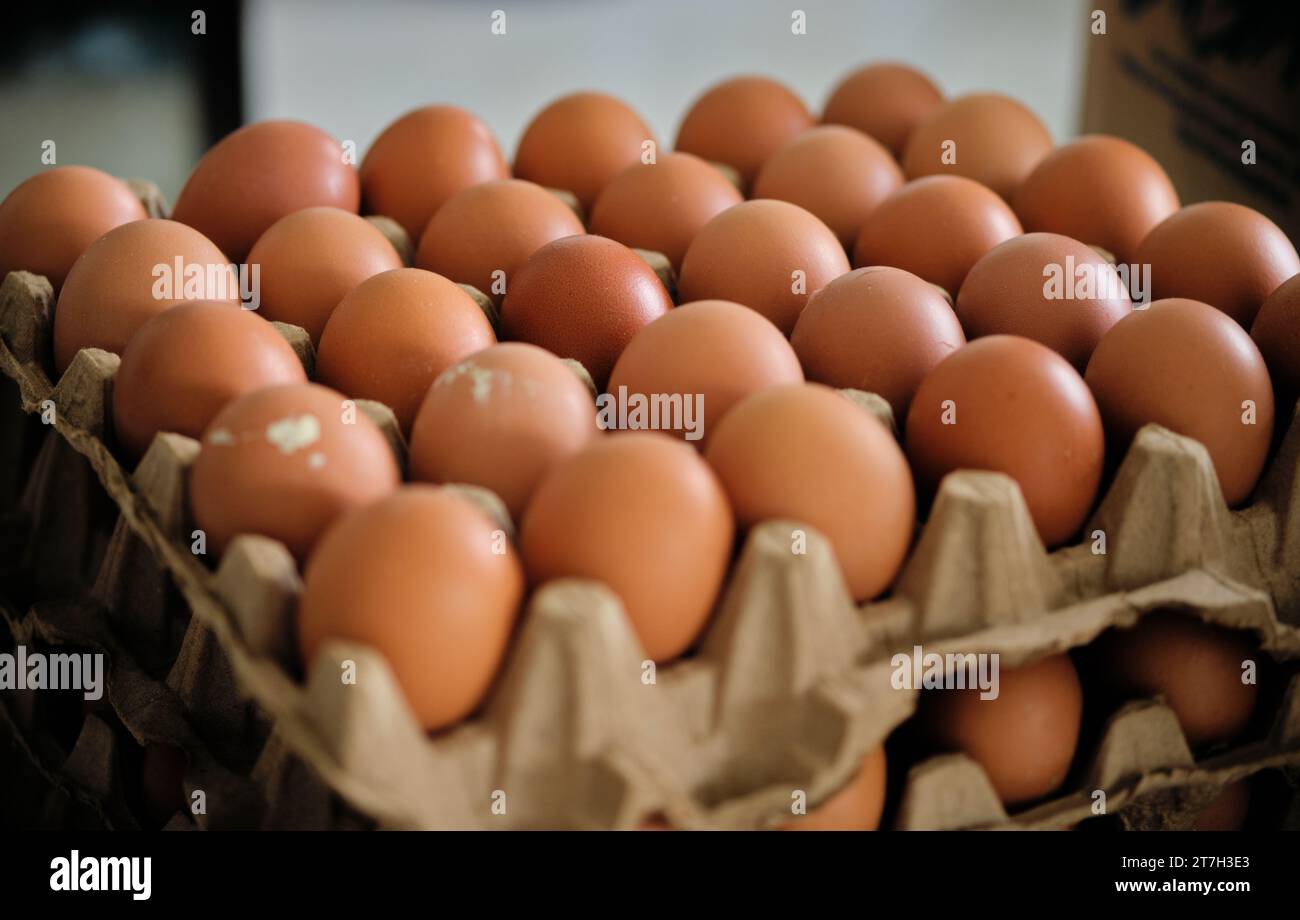 uova impilate su cartoncini o vassoi della carta vista ravvicinata Foto Stock
