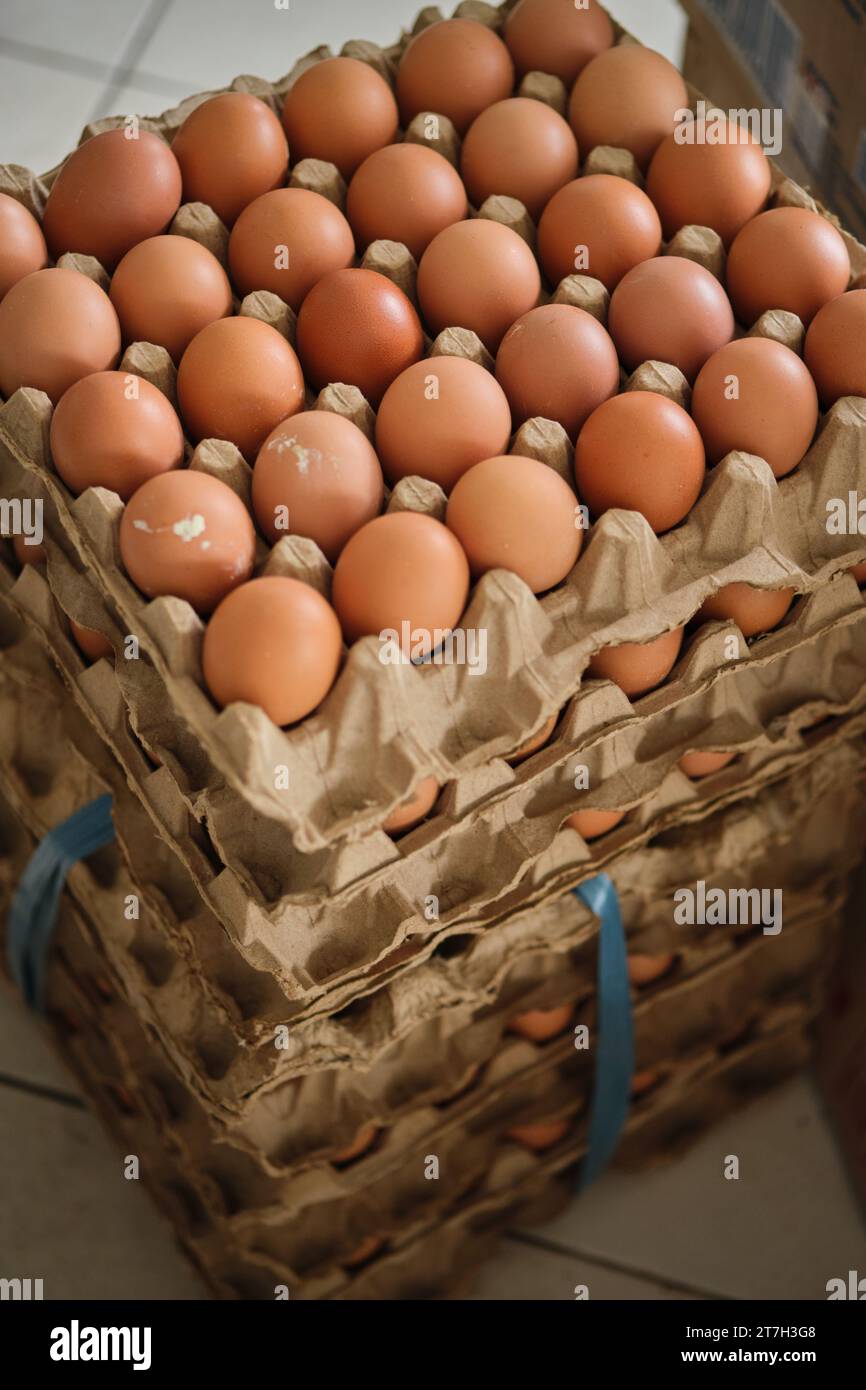 uova impilate in vassoi di carta legati con cinghie di plastica blu sul mercato. Foto Stock