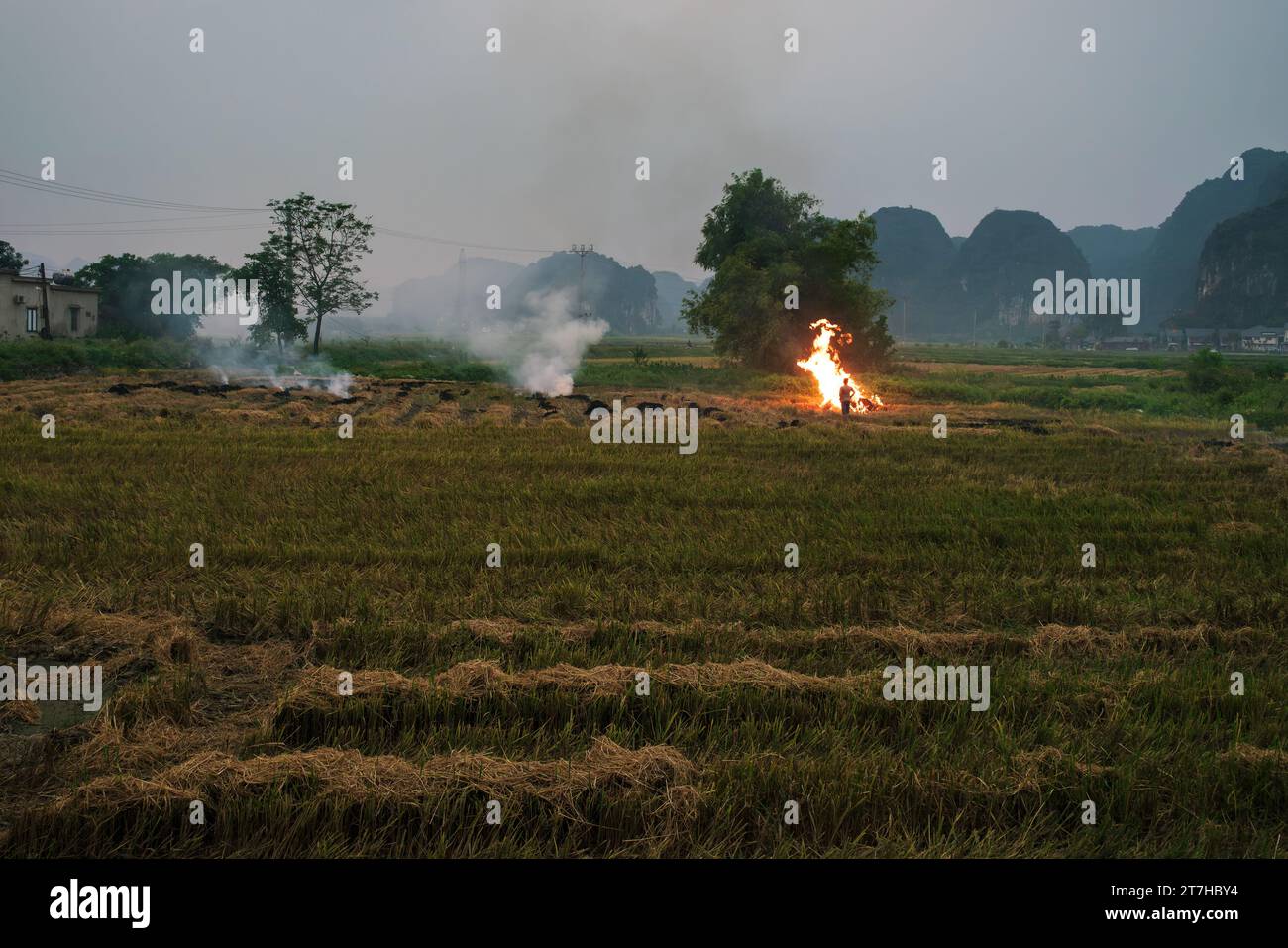 La combustione del campo di riso dopo il raccolto davanti alle montagne carsiche nella cosiddetta stagione delle fiamme, provocando smog e foschia, Ninh Binh, Vietnam Foto Stock