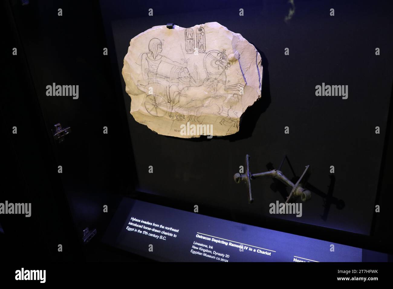 Sydney, Australia. 16 novembre 2023. Anteprima mediatica della mostra Ramses & the Gold of the Pharaohs presso l'Australian Museum, con 182 oggetti inestimabili, tra cui il sarcofago di Ramses II, una delle bare reali più rare e impressionanti dell'antico Egitto mai scoperte. Museo Australiano, Hintze Hall. 1 William Street, cnr College St, Sydney. Nella foto: Ostracon raffigurante Ramses IV in un carro. Pezzo da cavallo. Crediti: Richard Milnes/Alamy Live News Foto Stock
