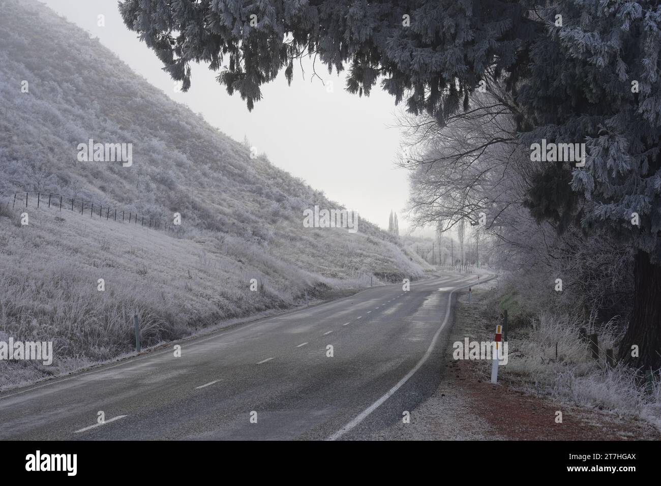 Paesaggio invernale lungo la strada panoramica tra Queenstown e Wanaka Foto Stock