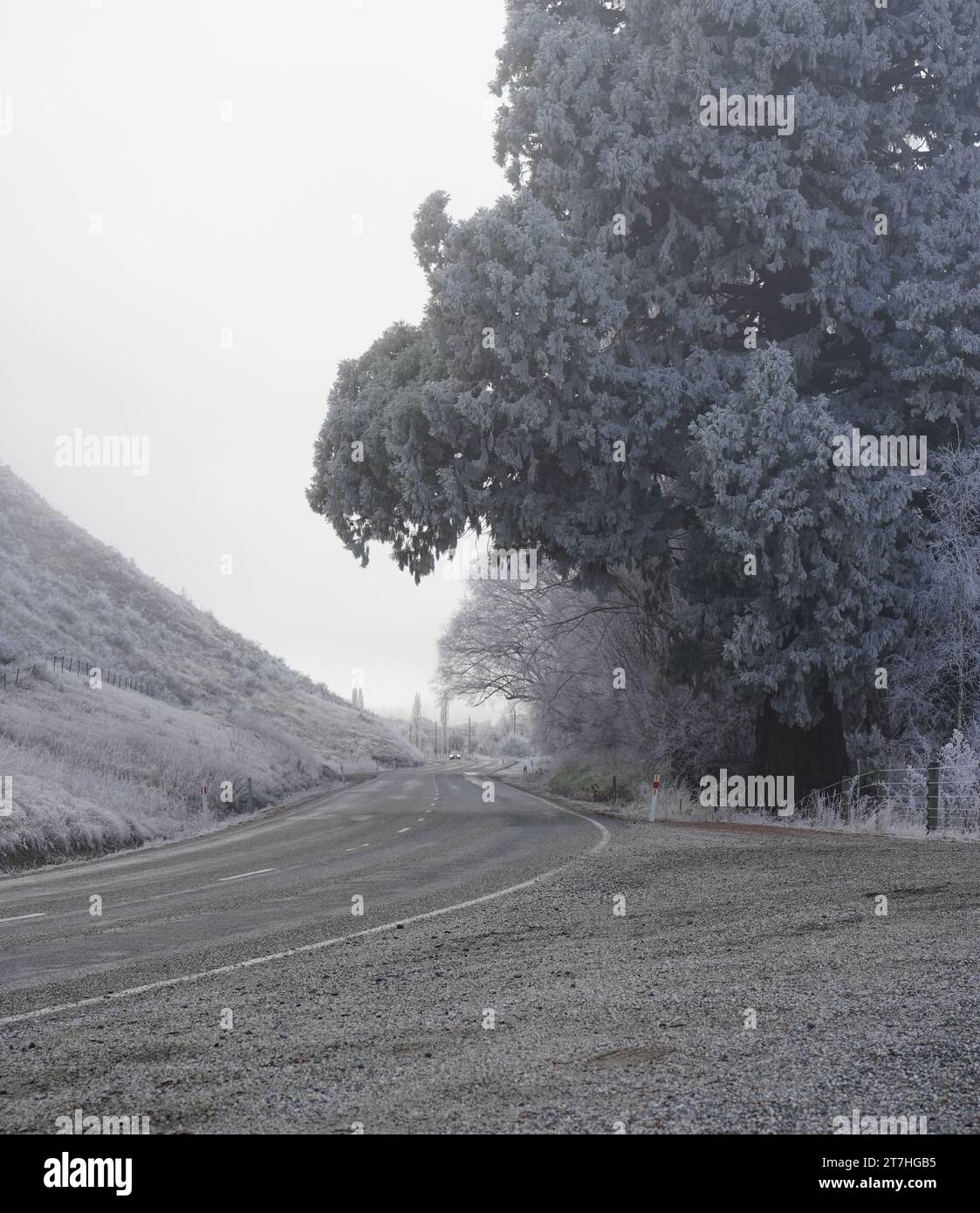 Paesaggio invernale lungo la strada panoramica tra Queenstown e Wanaka Foto Stock