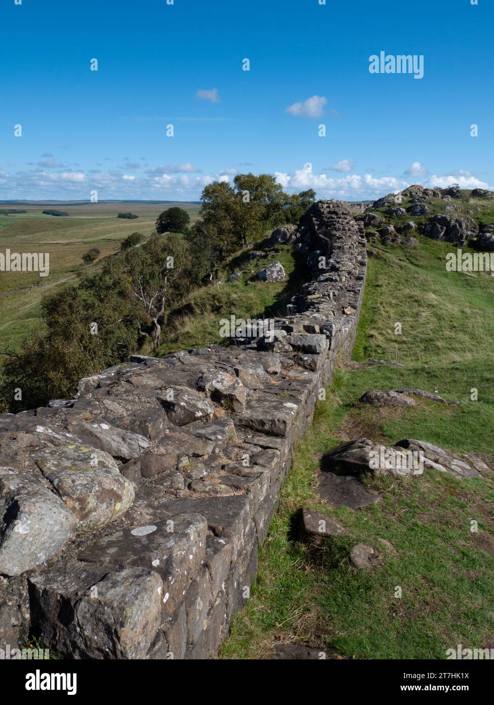 Vista del muro di Adriano. Foto Stock
