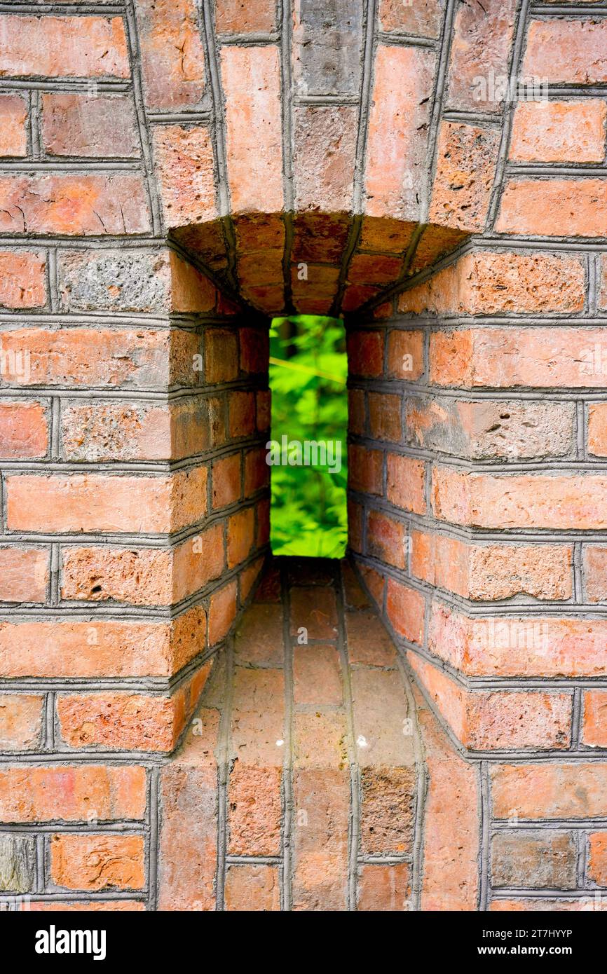 Incastonate su un vecchio muro di mattoni con vista sul verde. Foto Stock