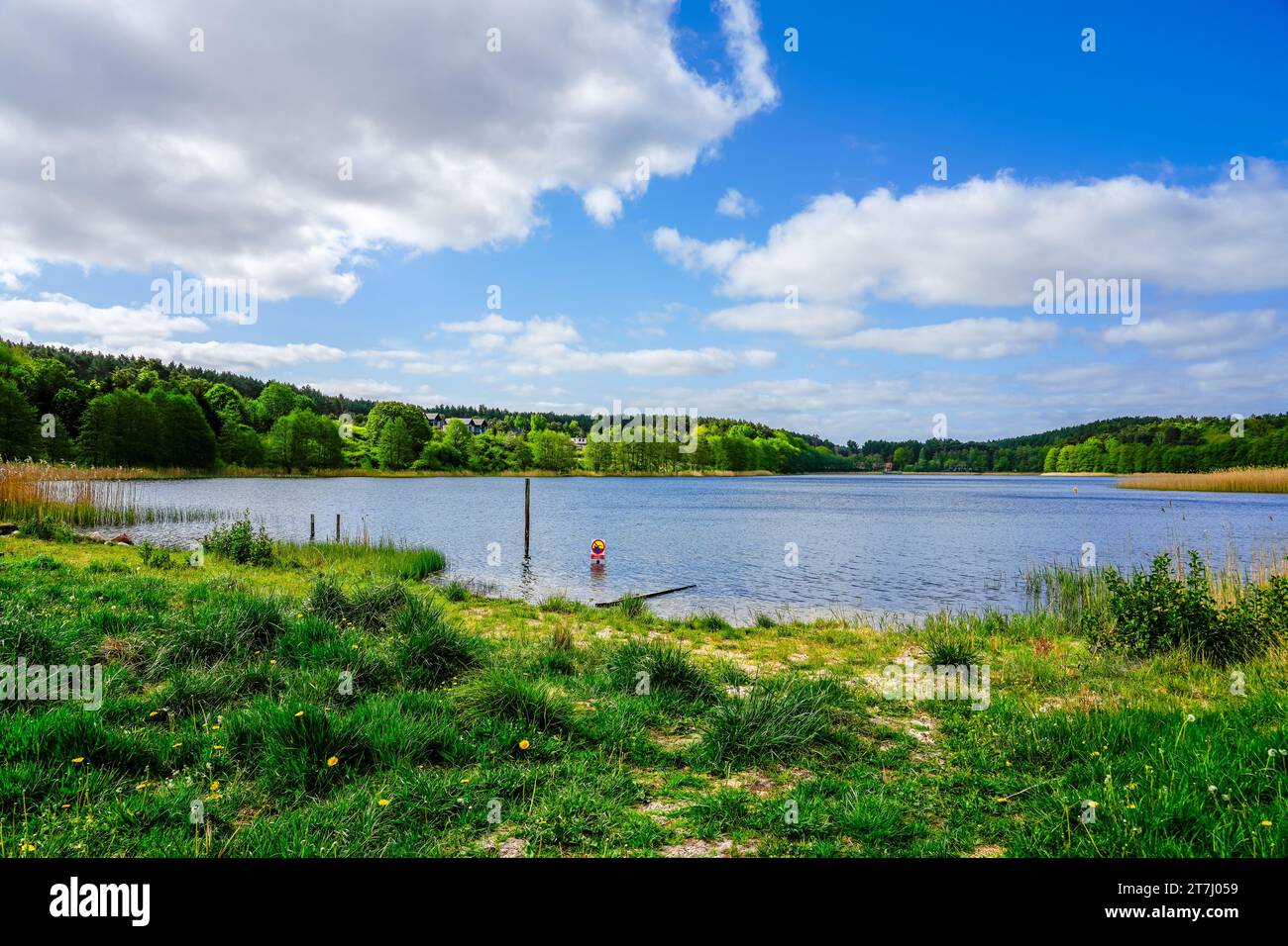 Vista sul lago Wiselka, Neuendorfer SEE. Paesaggio sull'isola di Wolin. Natura nella Pomerania occidentale. Foto Stock