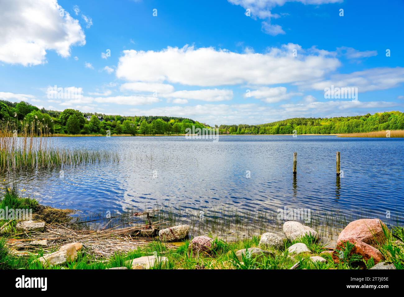 Vista sul lago Wiselka, Neuendorfer SEE. Paesaggio sull'isola di Wolin. Natura nella Pomerania occidentale. Foto Stock
