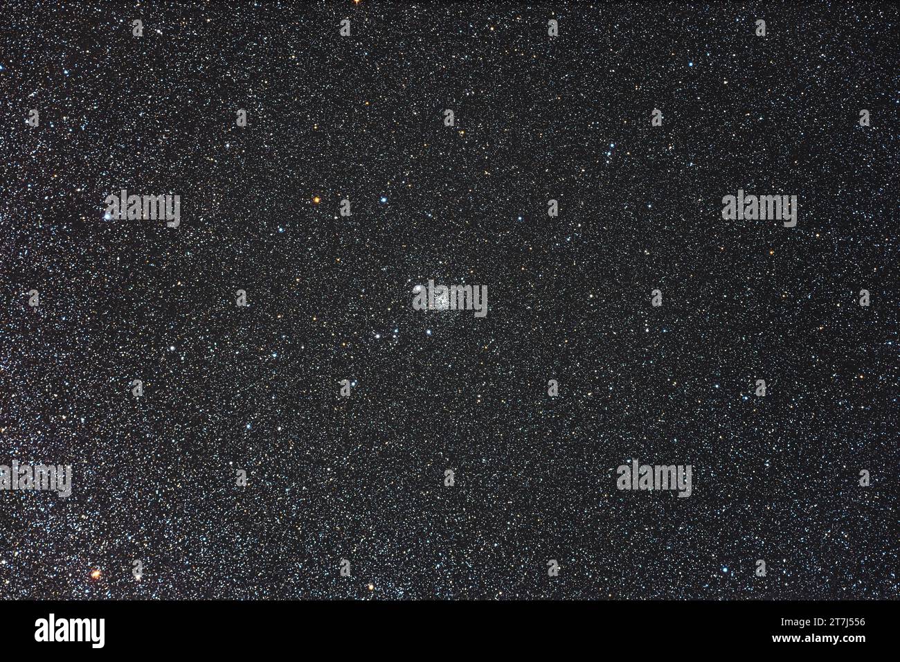 Questo è il piccolo ma ricco ammasso stellare soprannominato il cluster Foxhead, o ufficialmente NGC 6819, a Cygnus. Caroline Herschel, sorella di William Hersche Foto Stock