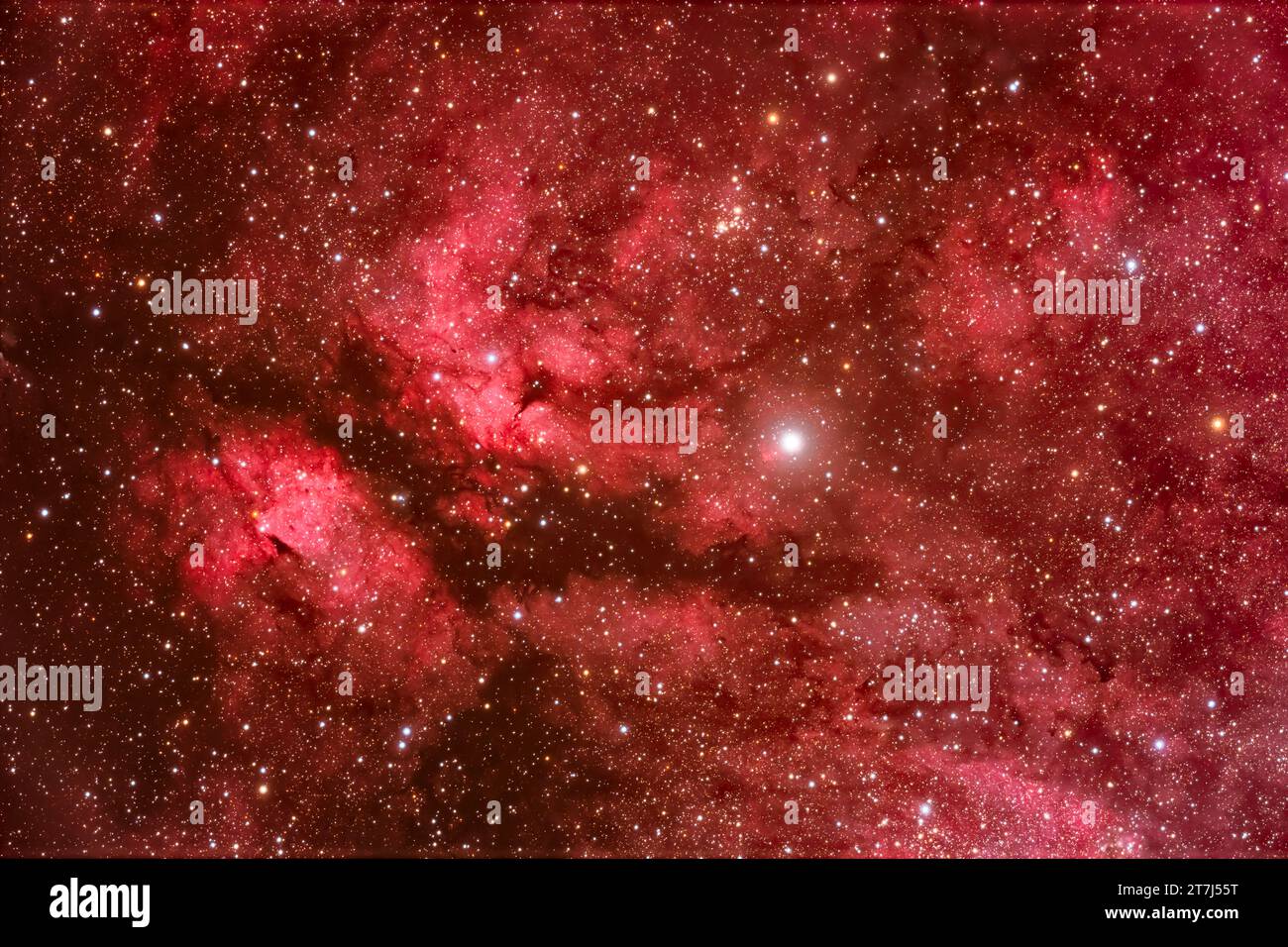 Questo è il complesso di nebulosità intorno alla stella gamma Cygni, nota anche come Sadr, nel Cygnus centrale, ed etichettata IC1318 o Nebulosa delle farfalle. La star clust Foto Stock