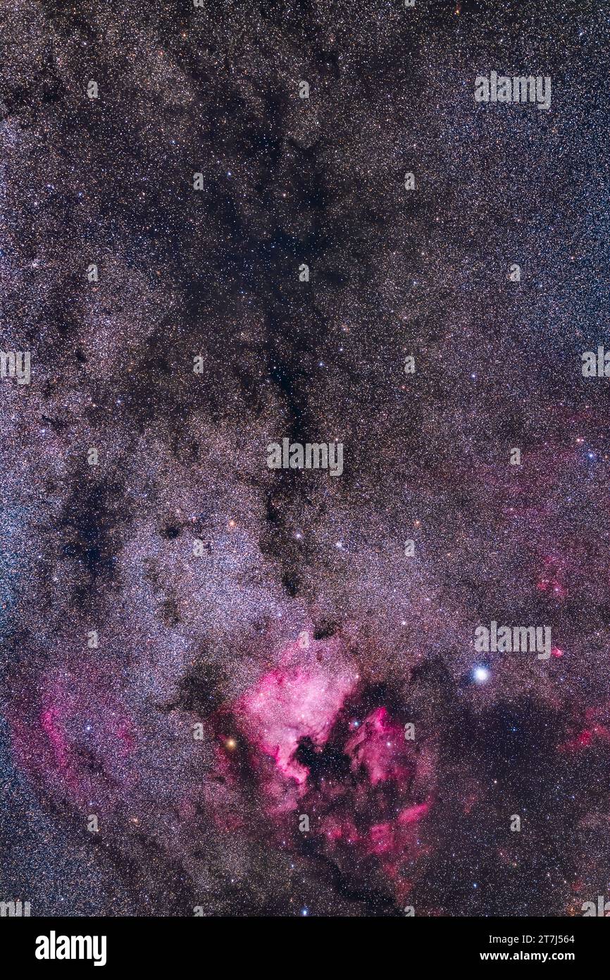 Questo incornicia la regione del Cygnus settentrionale contenente le nebulose a emissione luminosa, le nebulose del Nord America e del pellicano, in basso, e la nebul scura Foto Stock