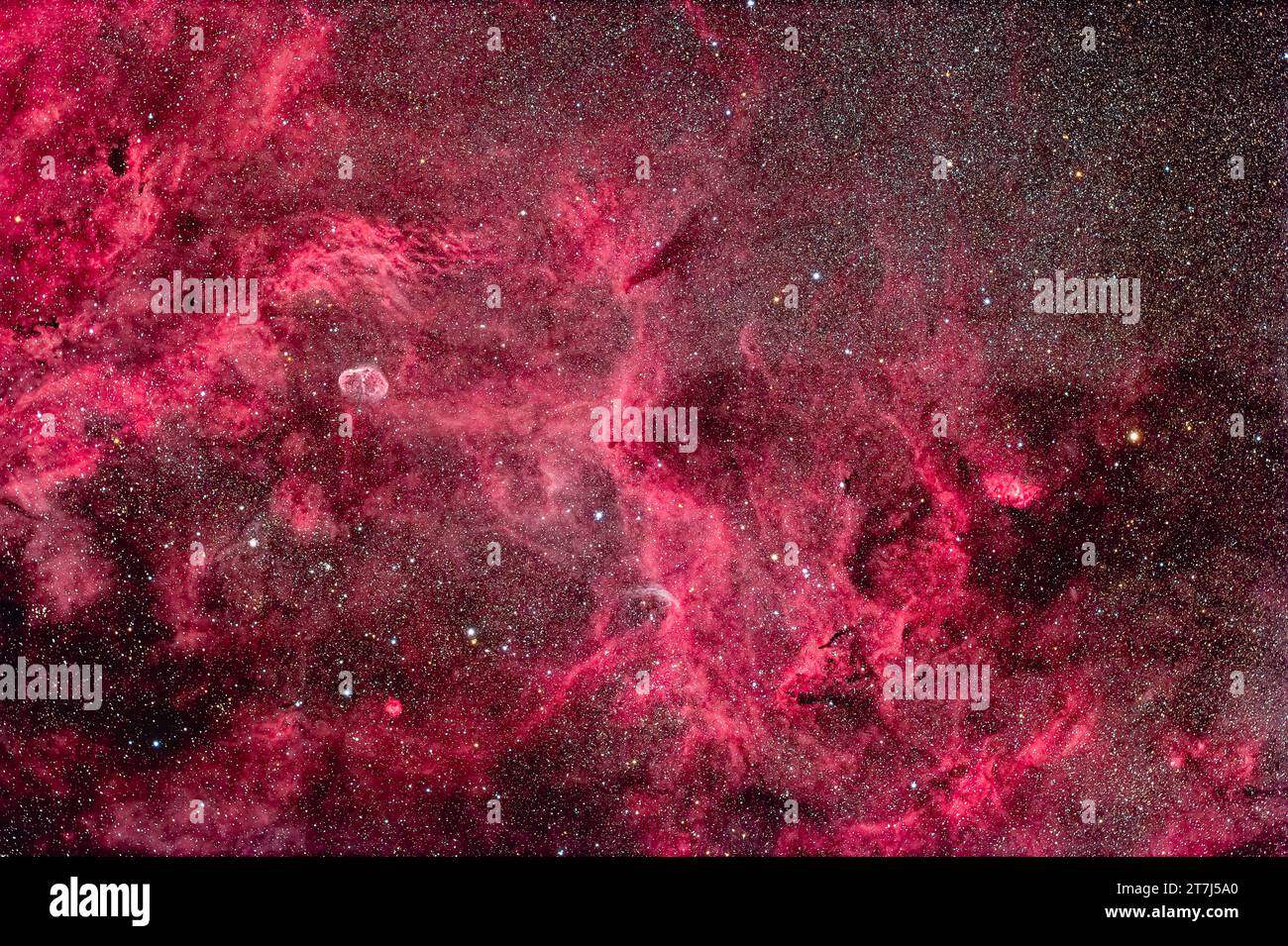 Questa è la ricca area di nebulosità nel Cygnus centrale che comprende la Nebulosa Crescent (nota anche come NGC 6888) a sinistra e la Nebulosa Tulip (nota anche come Sharpless 2- Foto Stock