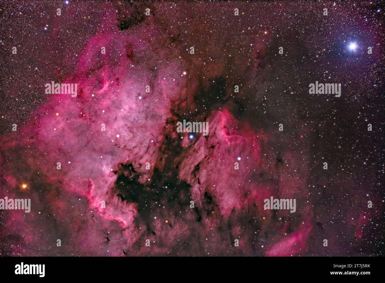 Il mio obiettivo preferito per testare i telescopi, la Nebula del Nord America, NGC 7000, a Cygnus, con il suo compagno Pelican Nebula a destra, alias IC 5070 Foto Stock