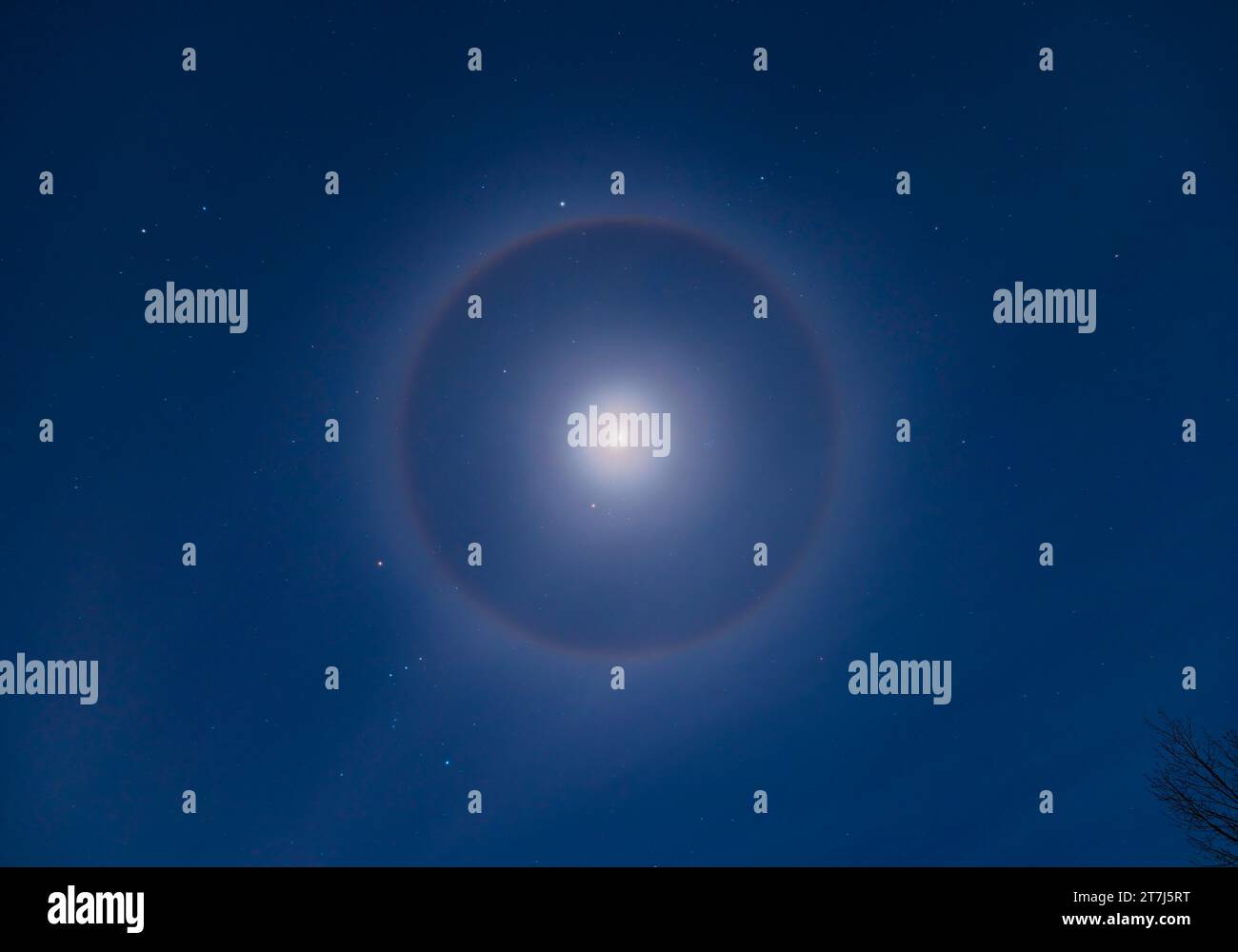 Un alone di cristallo di ghiaccio intorno alla luna cerata e gibbosa ambientato nelle stelle invernali di una notte di gennaio. L'alone a 22° è più evidente e con un rossastro e Sha Foto Stock
