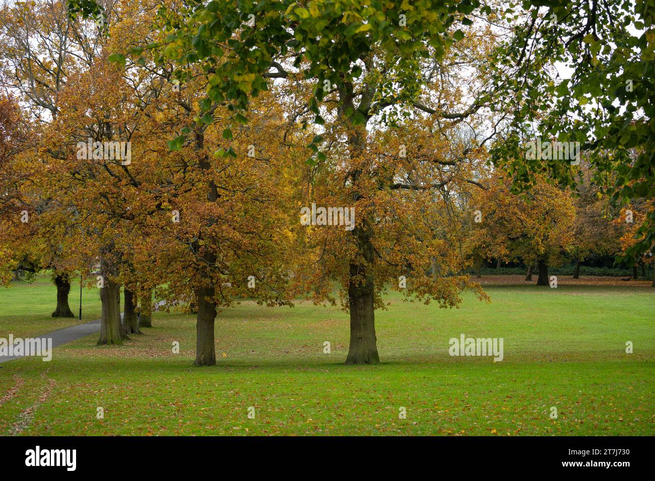 Lightwoods Park in autunno, Bearwood, Birmingham, West Midlands, Inghilterra, REGNO UNITO Foto Stock