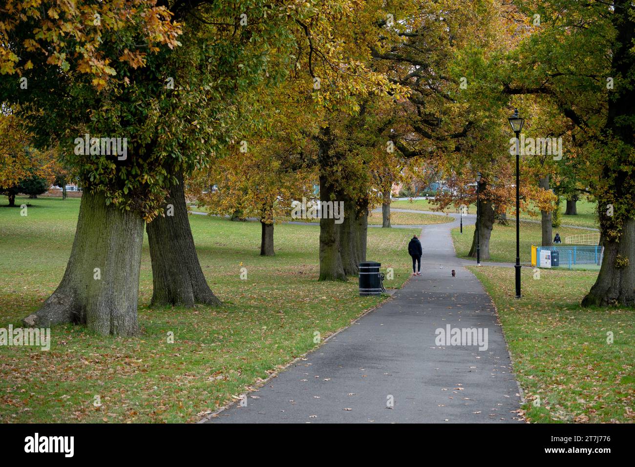 Lightwood Park in autunno, Bearwood, Birmingham West Midlands, Inghilterra, Regno Unito Foto Stock