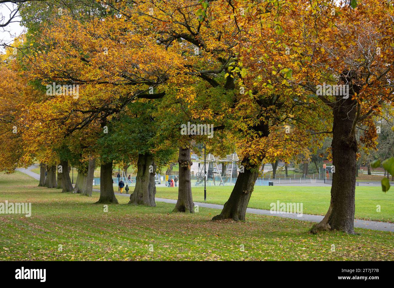 Lightwood Park in autunno, Bearwood, Birmingham, West Midlands, Inghilterra, REGNO UNITO Foto Stock