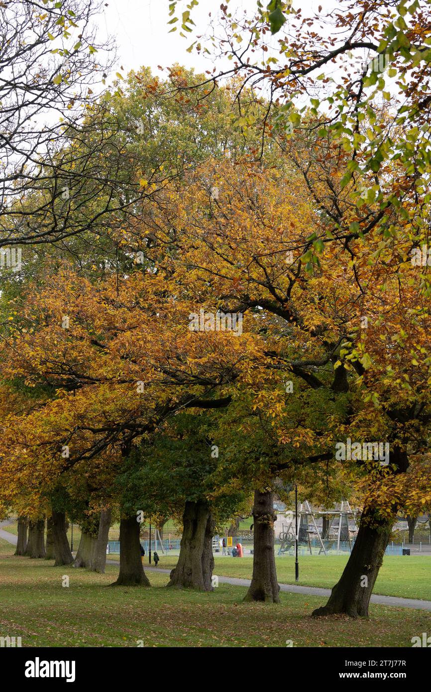 Lightwood Park in autunno, Bearwood, Birmingham, West Midlands, Inghilterra, REGNO UNITO Foto Stock