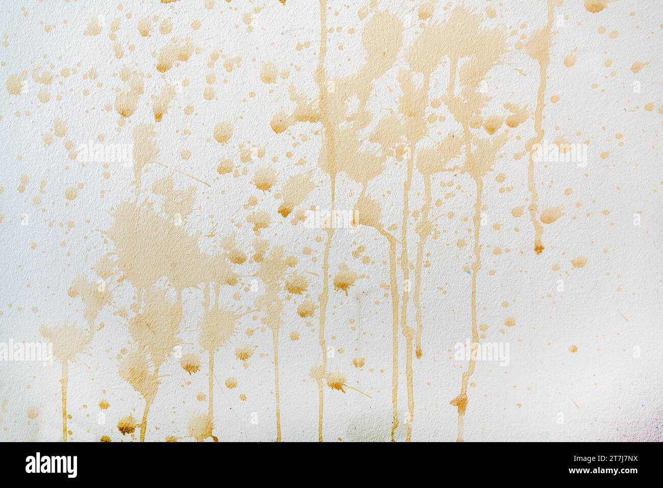 Primo piano delle macchie di caffè sulla parete bianca Foto Stock