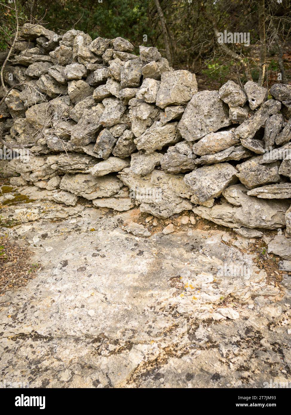 Dettaglio di un vecchio muro di pietra sull'isola di Cres, Croazia Foto Stock