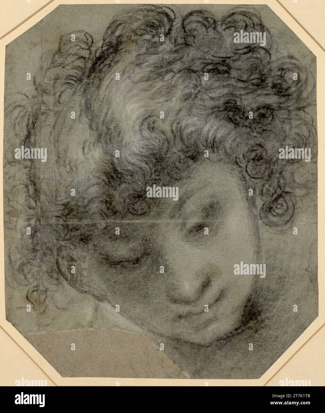 Giulio Cesare Procaccini Haben testa con ricci e look ribassato. Carbone, coperto di coperta bianca, su carta blu verde Foto Stock