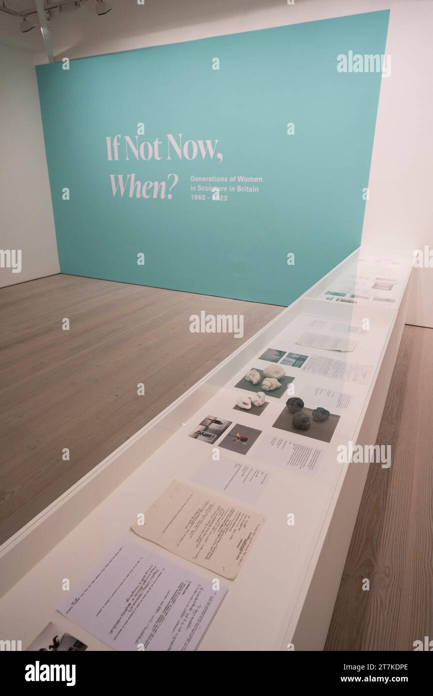Saatchi Gallery, Londra, Regno Unito. 14 novembre 2023. Se non ora, quando? La mostra presenta 29 notevoli scultrici femminili, che celebrano il loro contributo al mondo dell'arte dagli anni '1960 ad oggi e si svolge dal 15 novembre 2023 al 22 gennaio 2024. Crediti: Malcolm Park/Alamy Live News Foto Stock