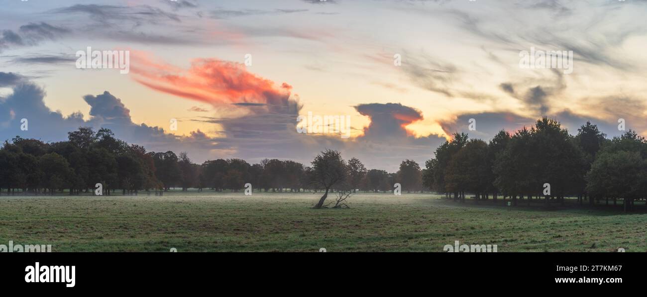 Nubi cumulonimbus distanti all'alba sopra il Phoenix Park con nebbia maculata Foto Stock