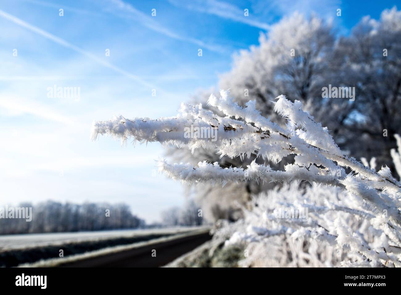 Winterlandschaft mit Eis, Schnee und frostigen Weißen Bäumen Foto Stock