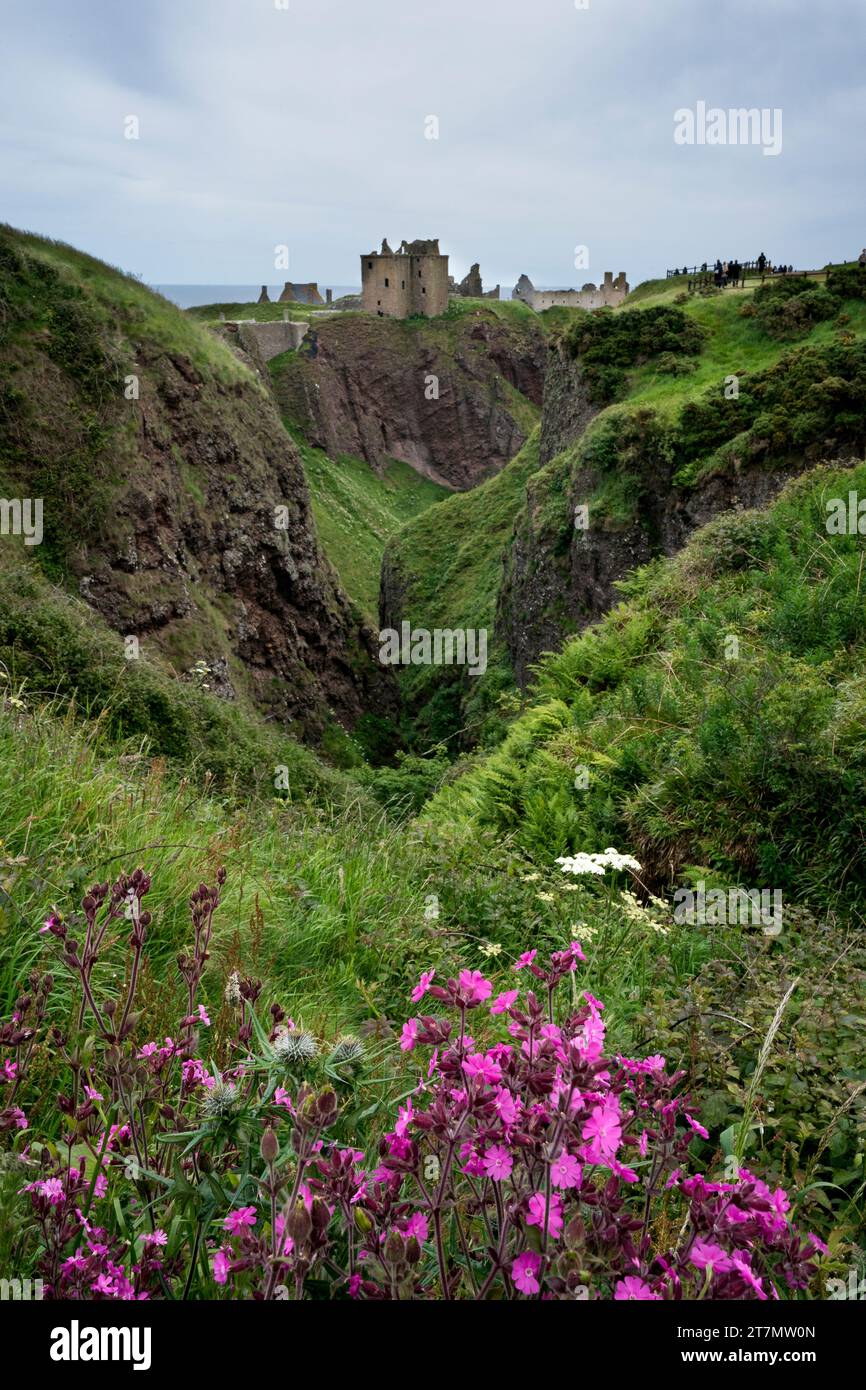 Vista a distanza del castello di Dunnottar che si trova su una formidabile scogliera lungo la costa nord-orientale della Scozia, Stonehaven, Scozia, Regno Unito, Europa Foto Stock