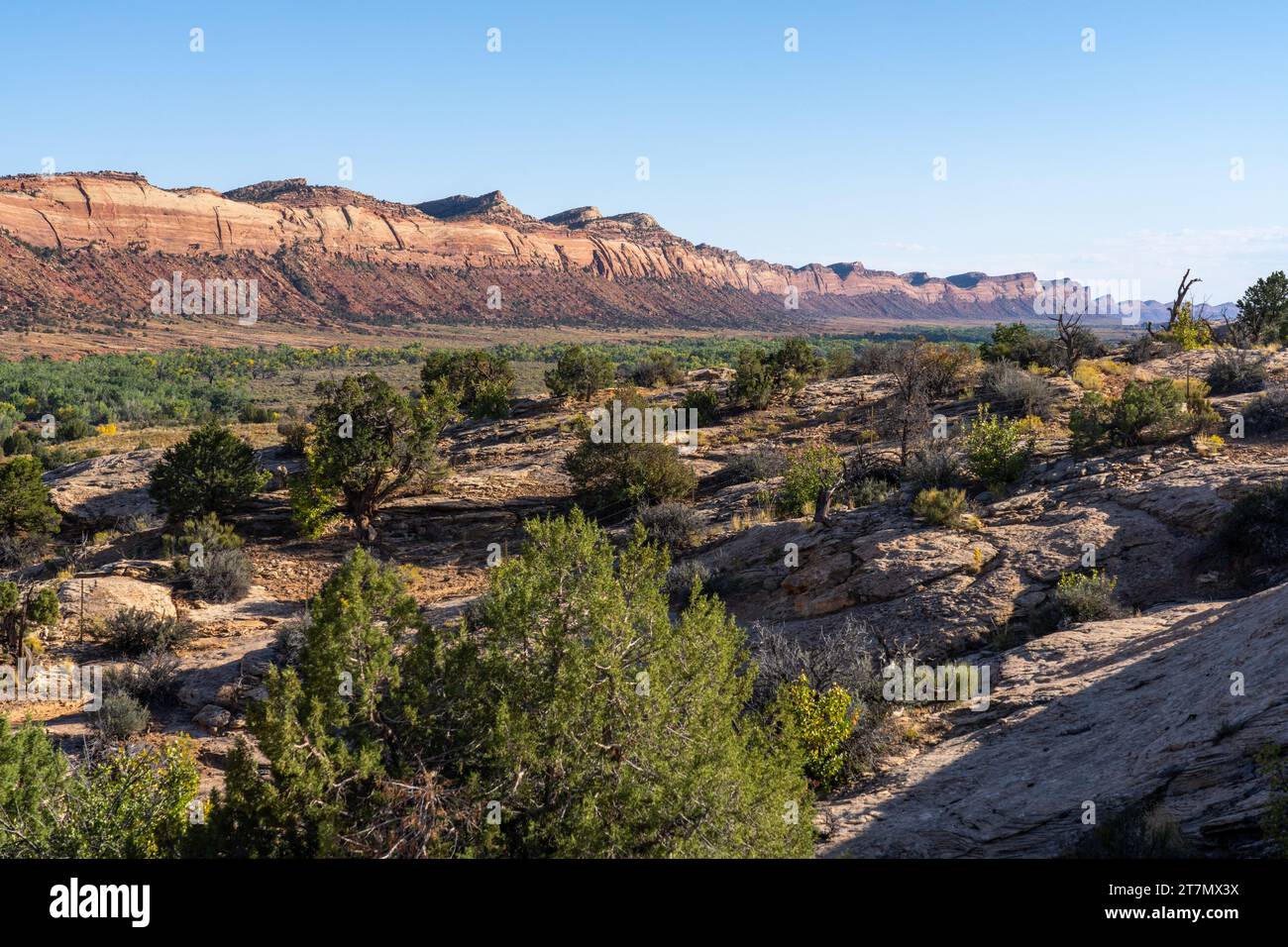 Comb Ridge e Comb Wash nel monumento nazionale Bears Ears nello Utah. Foto Stock