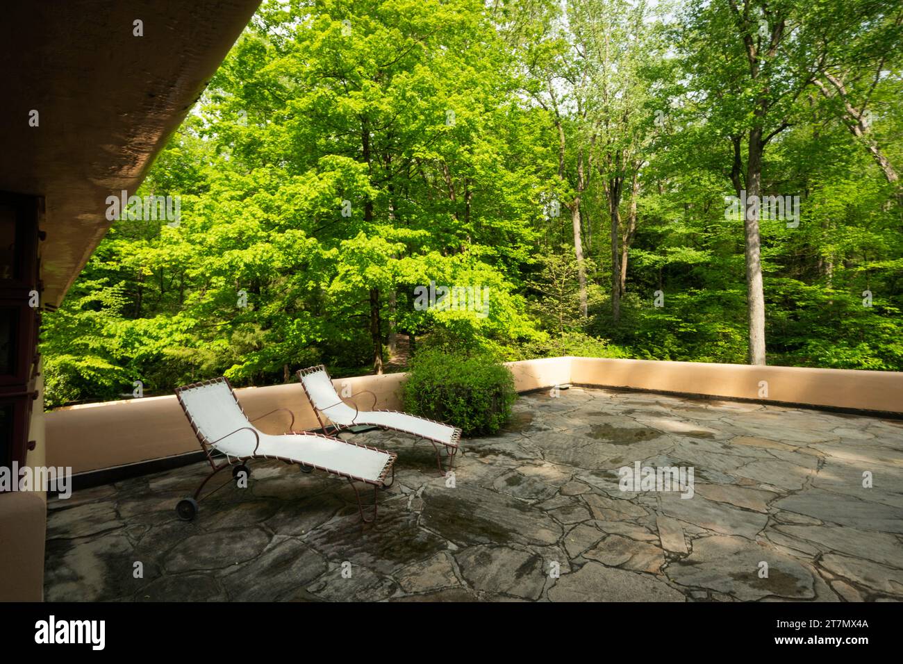 Falling Water, Frank Lloyd Wright ha progettato un capolavoro per la casa, una foresta rurale a Laurel Highlands, Farmington, Pennsylvania, Stati Uniti Foto Stock