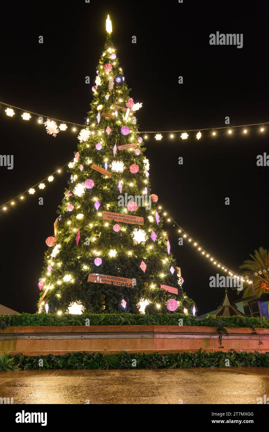 Albero di Natale nella Plaza del Comercio, nella capitale. Foto Stock