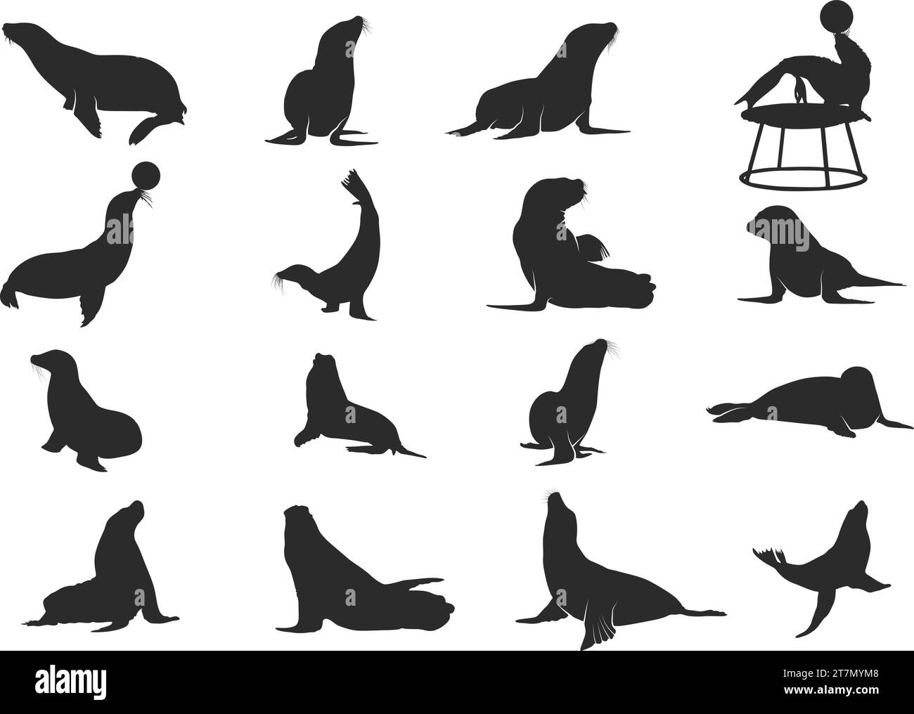 Collezione Seal silhouette, silhouette Sea Lion, clip Seal Illustrazione Vettoriale