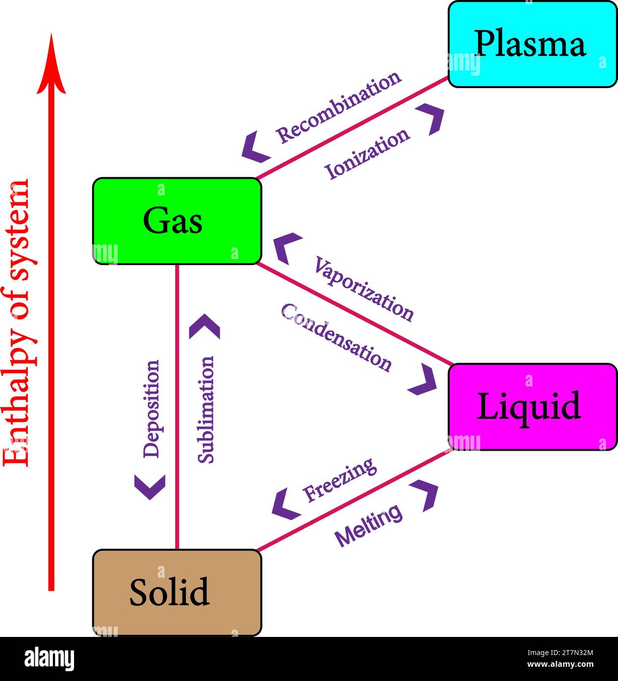 Un diagramma mostra la nomenclatura per le diverse transizioni di fase.illustrazione vettore. Illustrazione Vettoriale