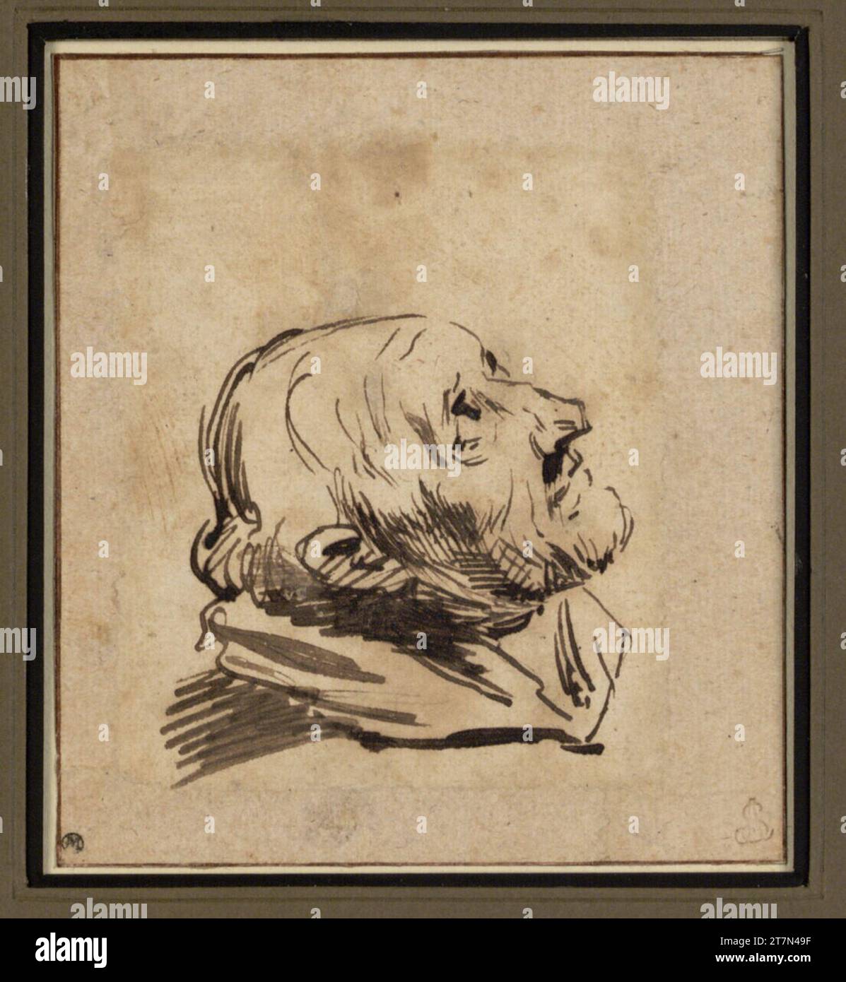 Anthonis van Dyck male a destra, guardando in alto (Marinus Janssens?). Feder in marrone Foto Stock